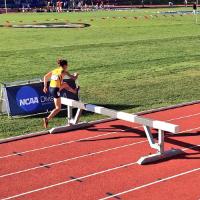 UCS - Steeplechase Hurdles